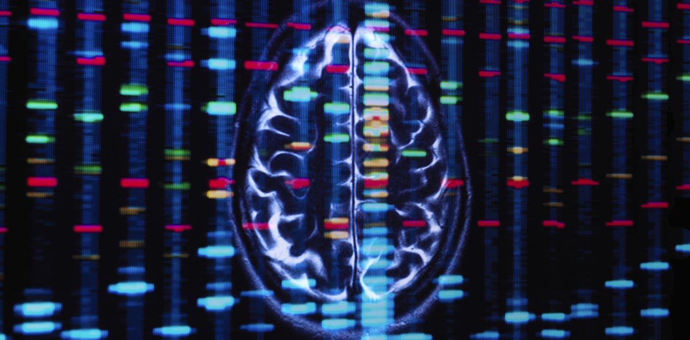Numerous Genes Exhibit Distinct Behaviors in Male and Female Brains Numerous Genes Exhibit Distinct Behaviors in Male and Female Brains