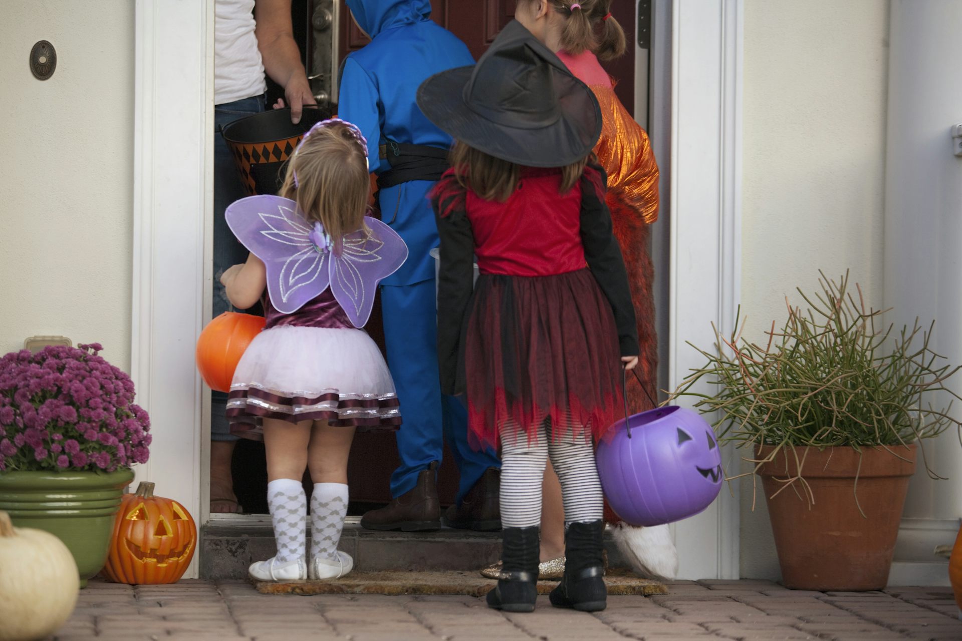 Kids in halloween costumes are seen from behind crowding around a front door.