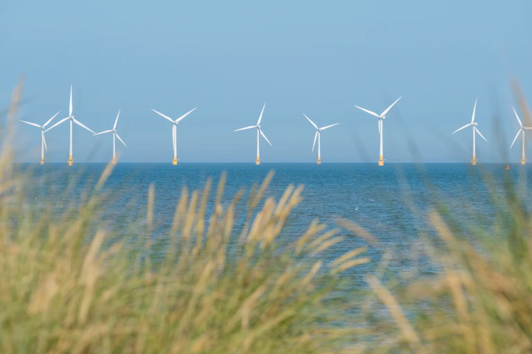 offshore wind turbines at sea, grass in foreground