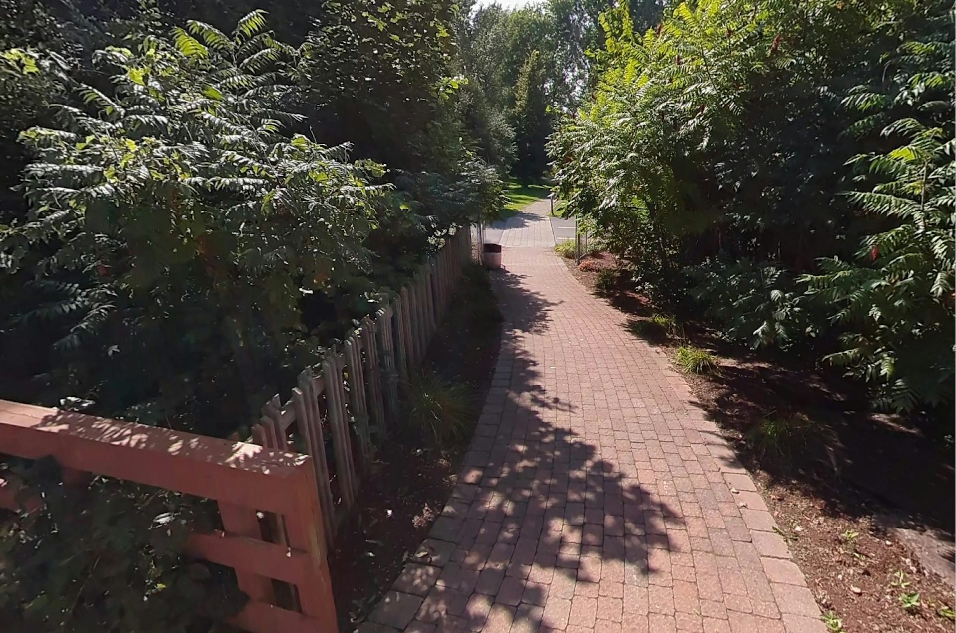 a winding path