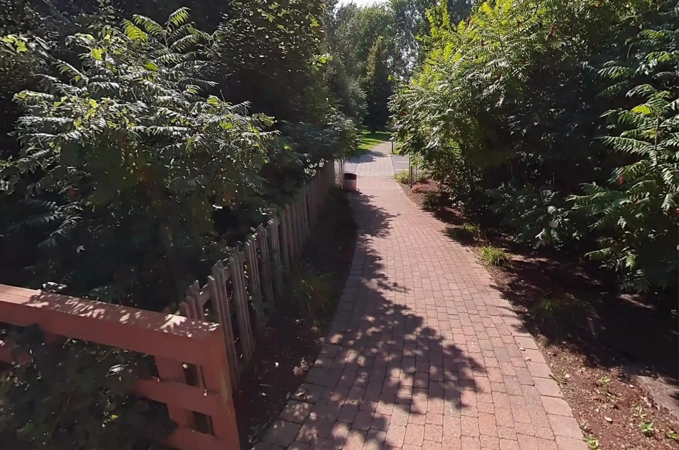 a winding path