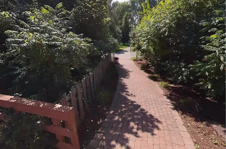 a winding path