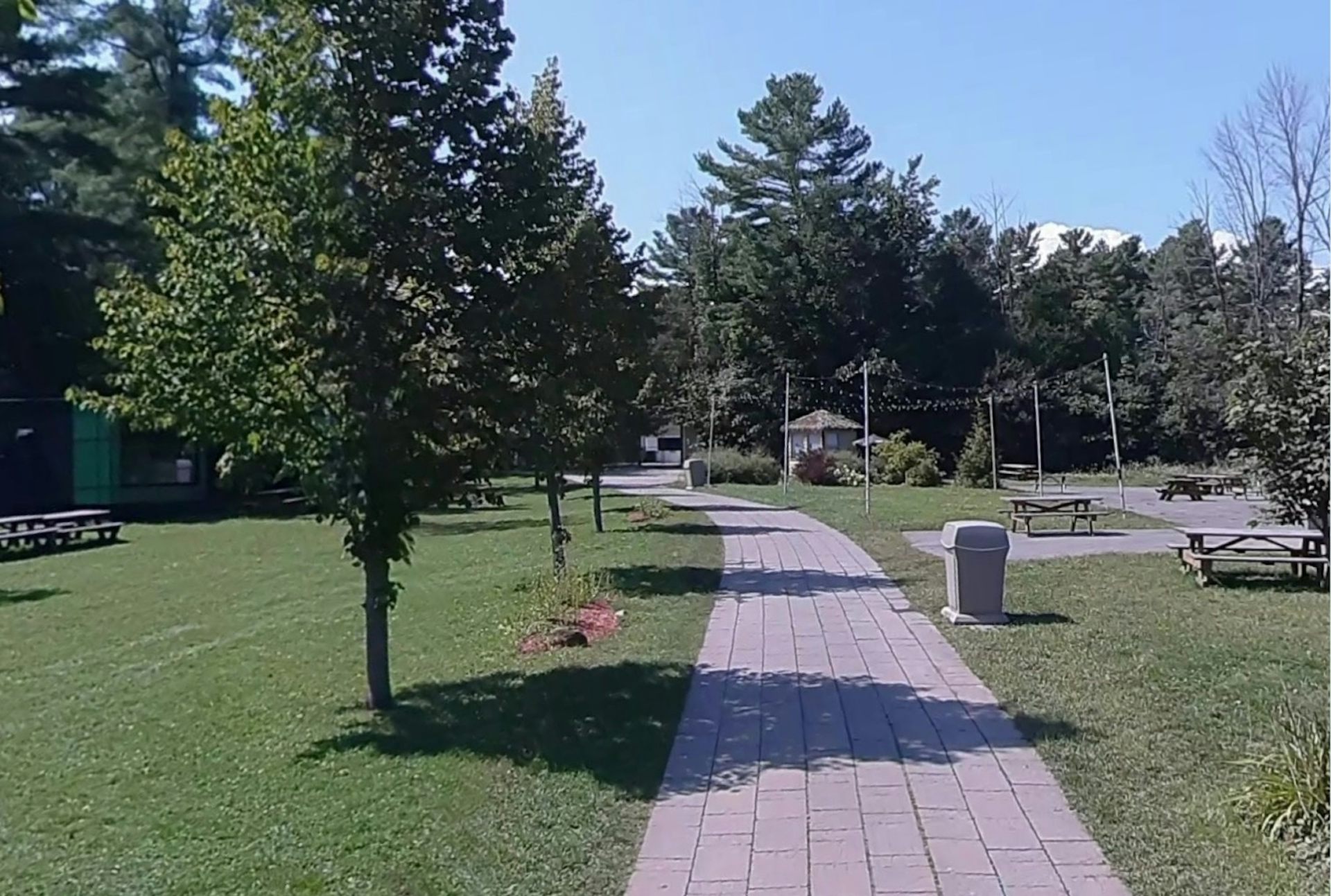 a smooth paved surface among trees and bushes