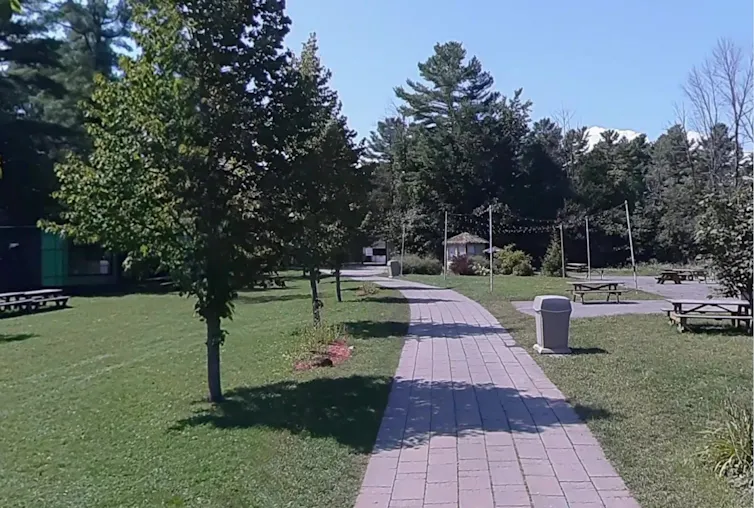 a smooth paved surface among trees and bushes