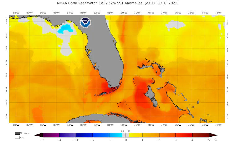 A map showing Florida Keys sea surface temperature more than 7 degrees Fahrenheit (4 degree Celsius) warmer than average