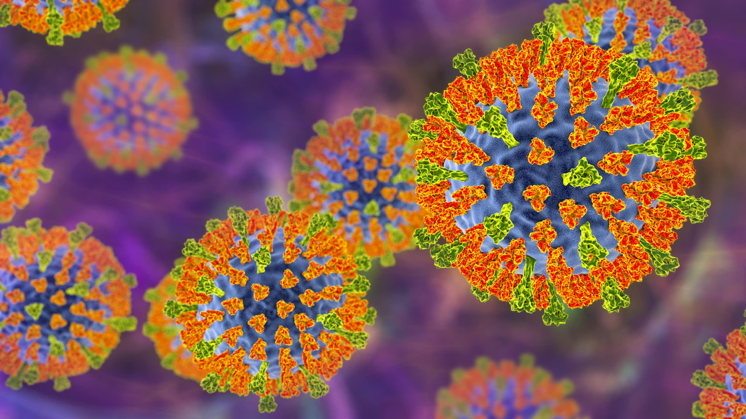 An illustration of the measles virus