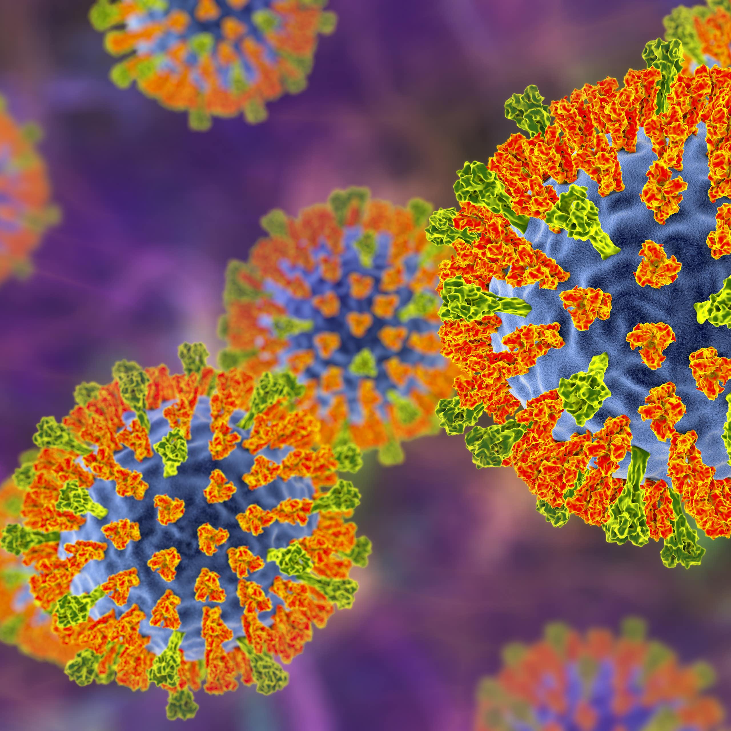 An illustration of the measles virus