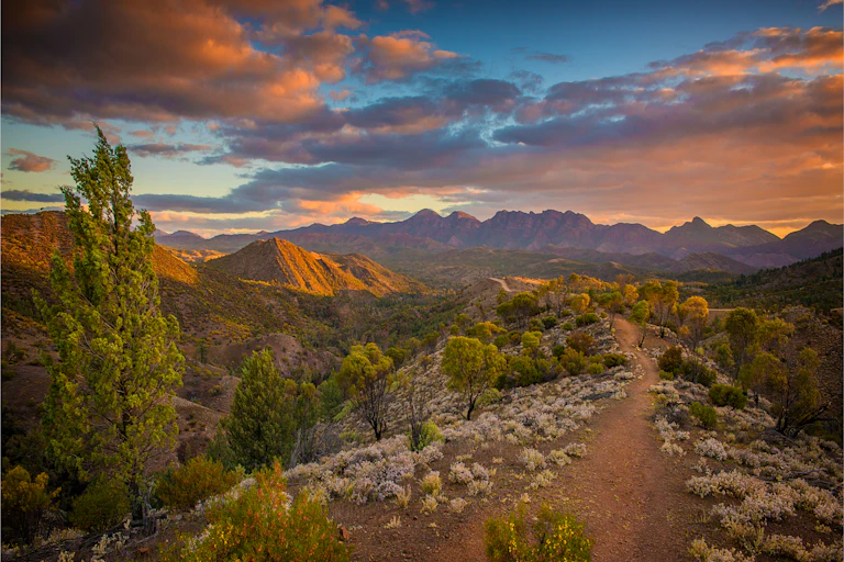 A sunset landscape of red rocks and trails.