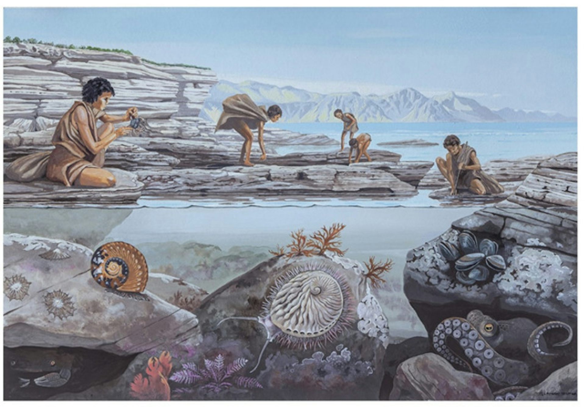 Illustration of people looking for food in a tidal pool