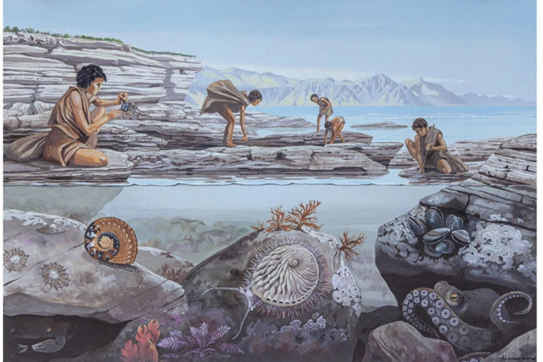 Illustration of people looking for food in a tidal pool