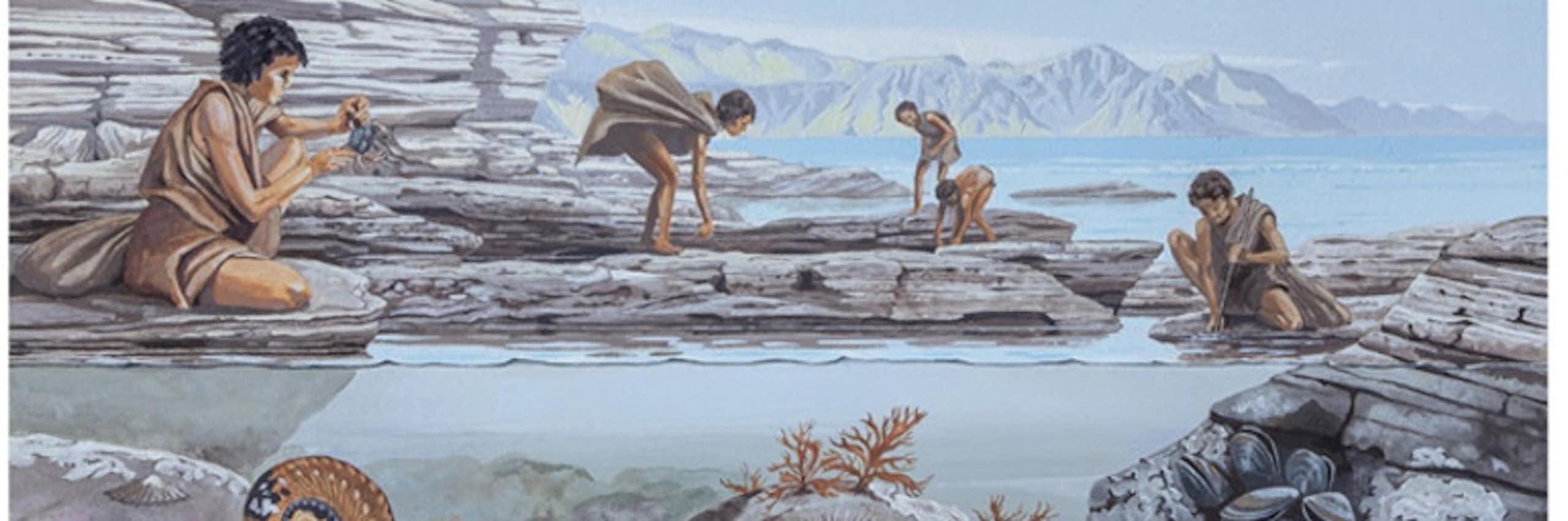 Illustration of people looking for food in a tidal pool