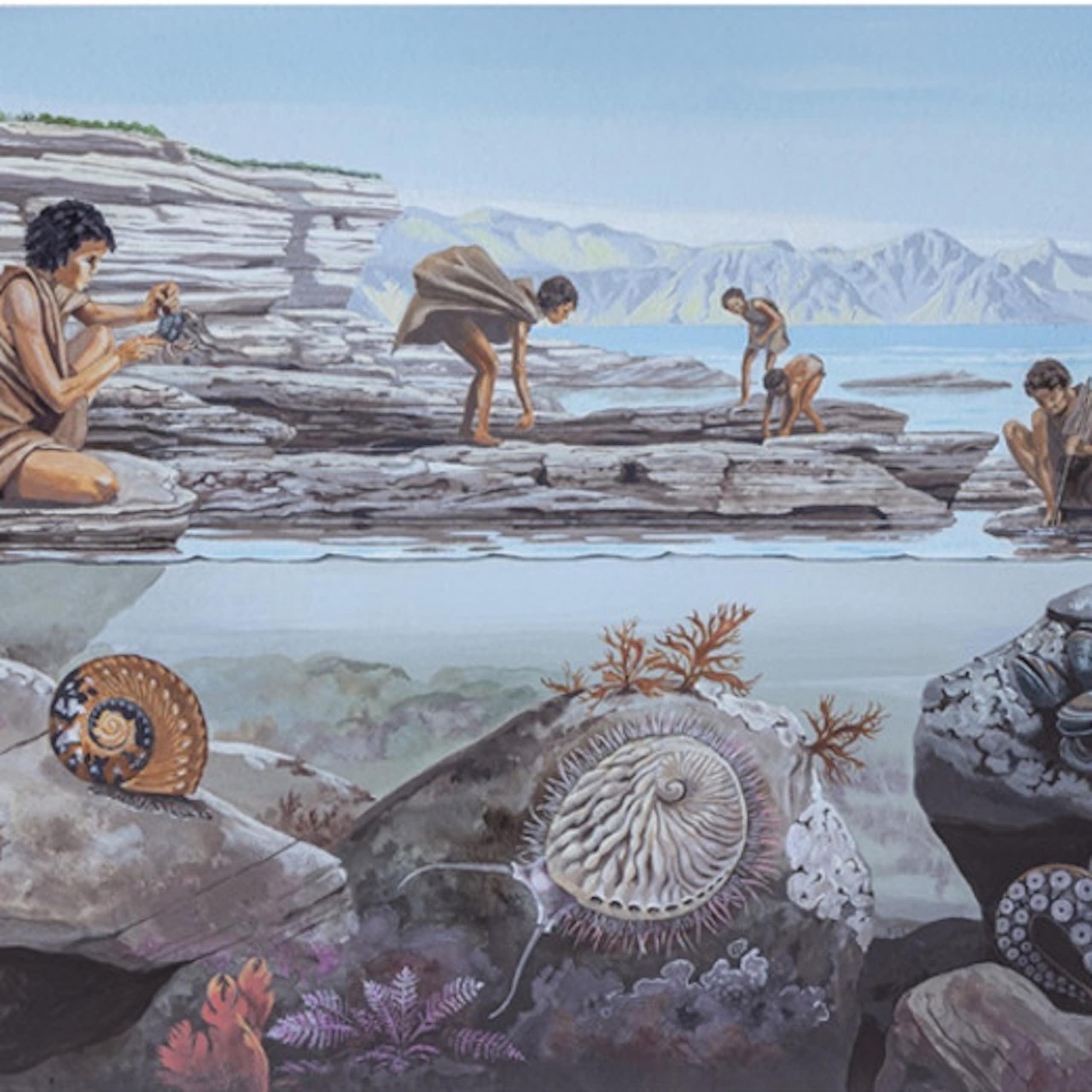 Illustration of people looking for food in a tidal pool