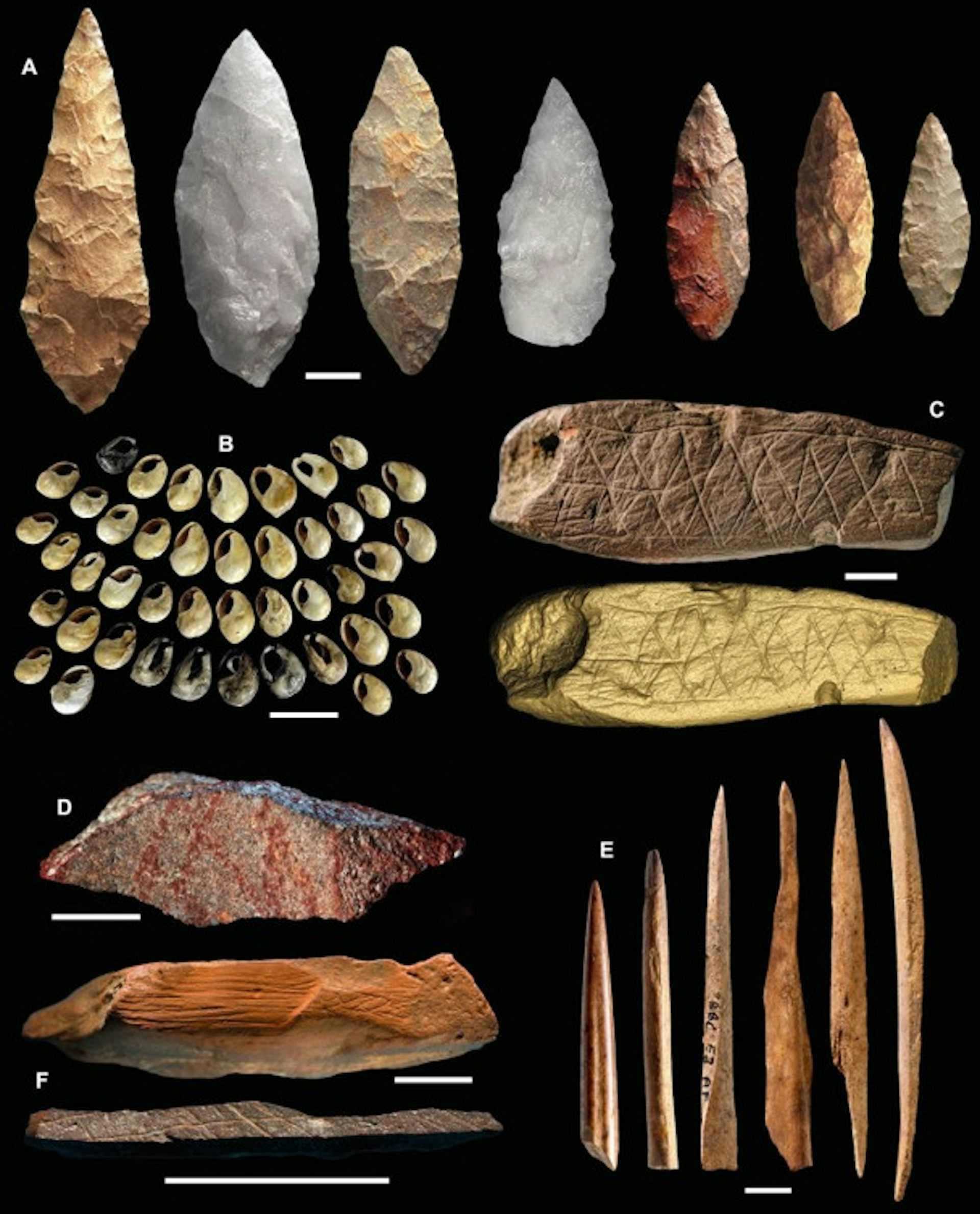 Stone tools and shells