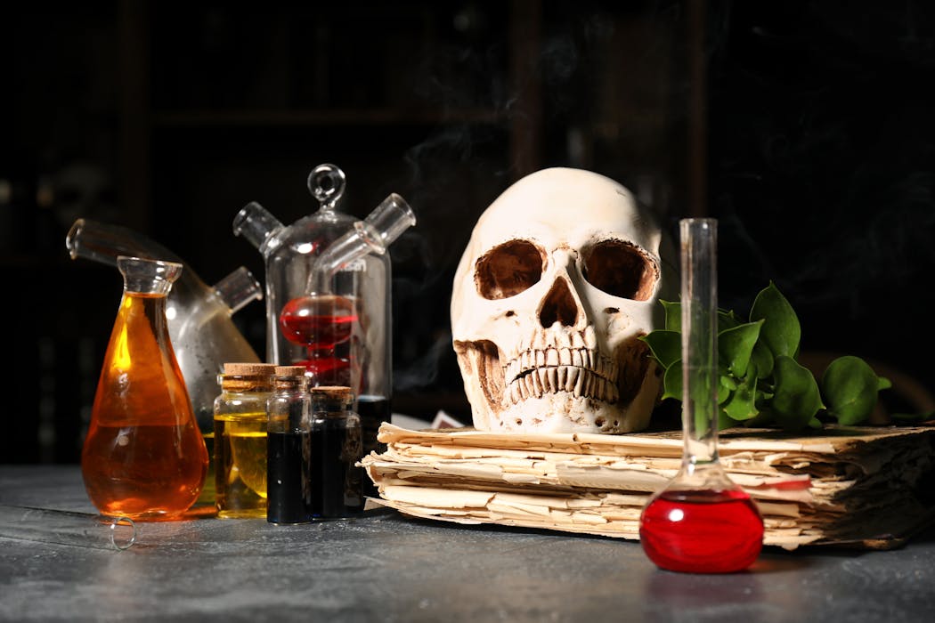 From potion to prescription: how witches’ herbs became medical marvels