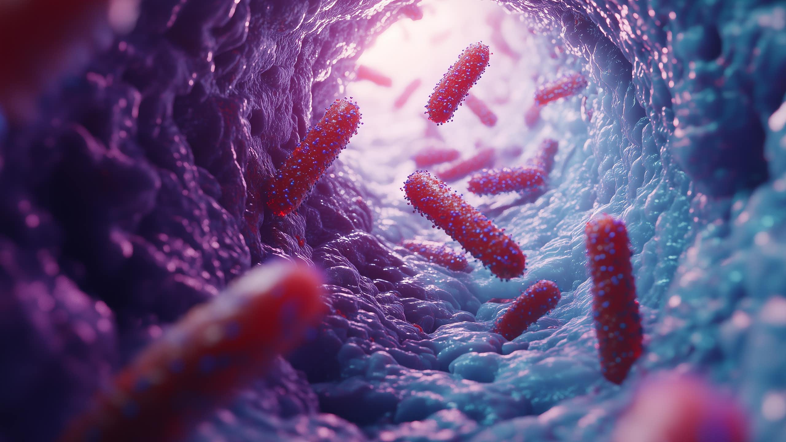 Representación de bacterias en el sistema digestivo.