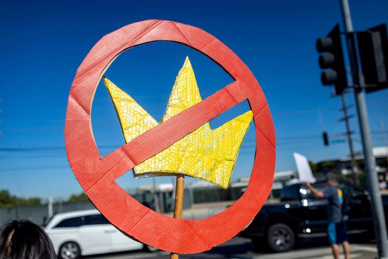 A 'no kings'protest banner on a march in El Segundo, California, October 14 2025.