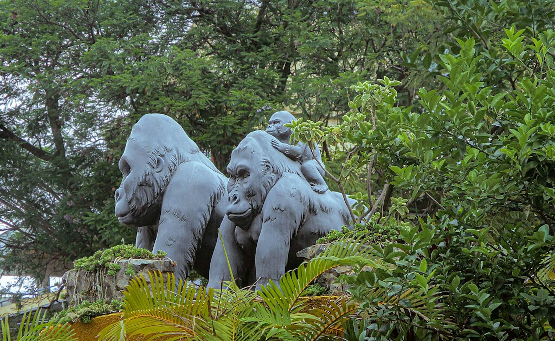 A statue in a breen-leafed area of a male, female, and baby gorilla.