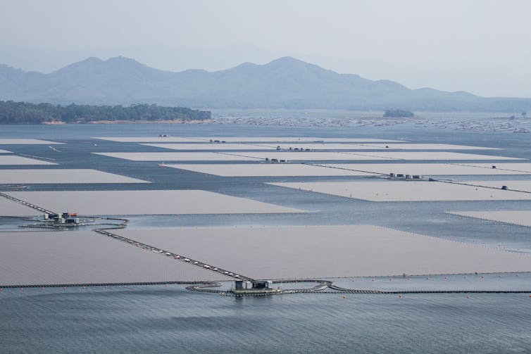 Solar panels on water