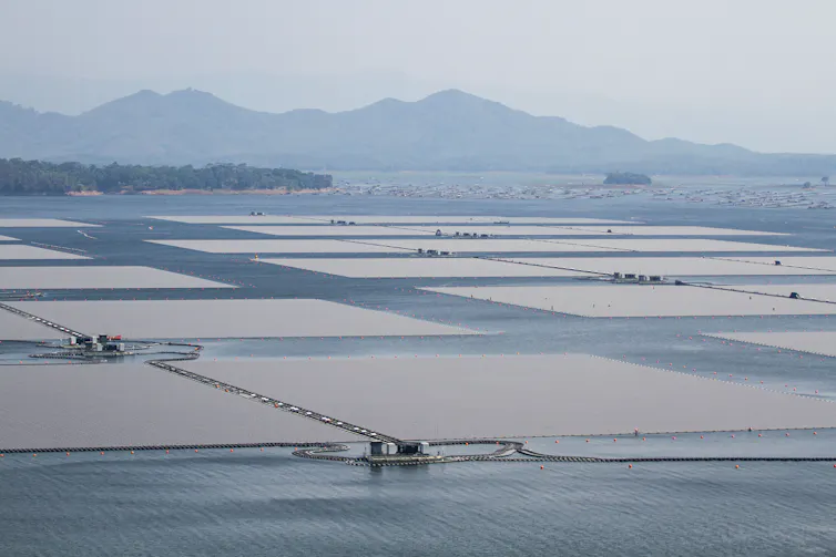 Solar panels on water