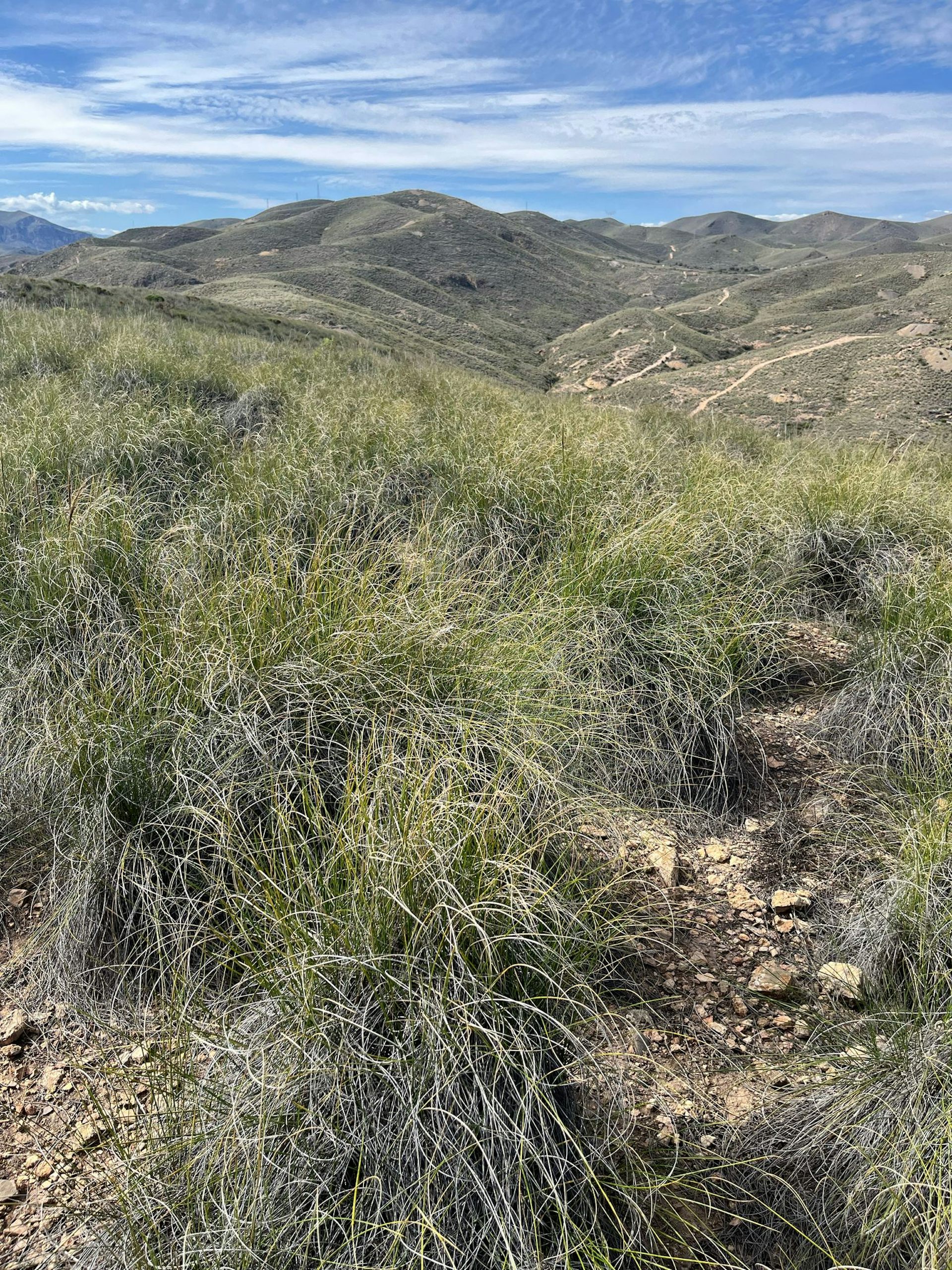 file 20251023 56 pnu9w3.jpeg?ixlib=rb 4.1