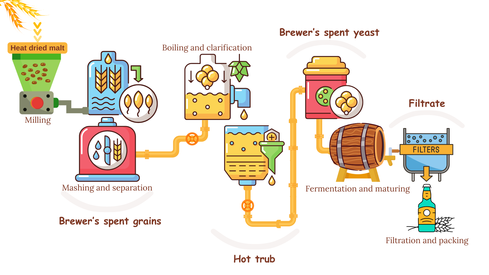 A diagram showing the stages of beer brewing -- and flagging four sources of waste: brewer's spent grains, hot trub, brewer's spent yeast and filtrate.