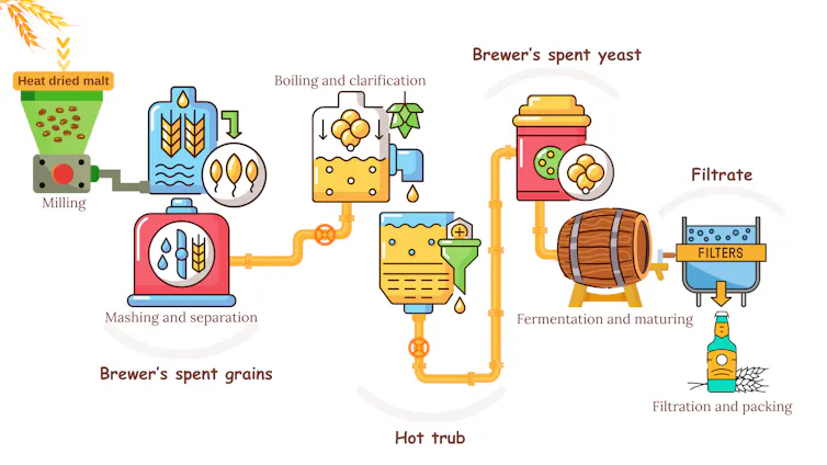 A diagram showing the stages of beer brewing -- and flagging four sources of waste: brewer's spent grains, hot trub, brewer's spent yeast and filtrate.