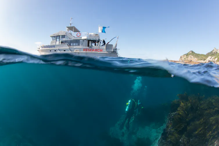 An image taken half underwater, showing a research vessel on the surface and a diver below, exploring a rocky reef