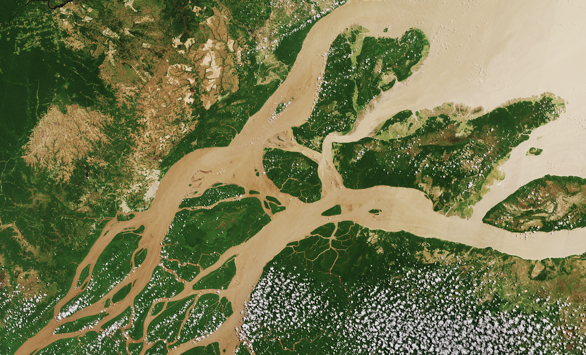 Imagen de satélite de la desembocadura del río Amazonas