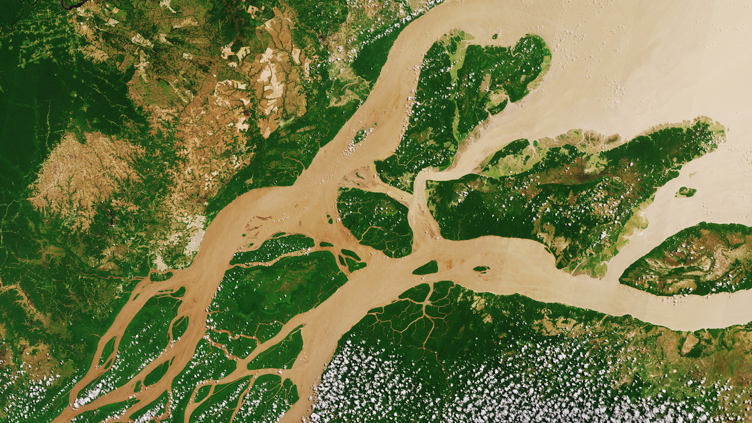 Imagen de satélite de la desembocadura del río Amazonas