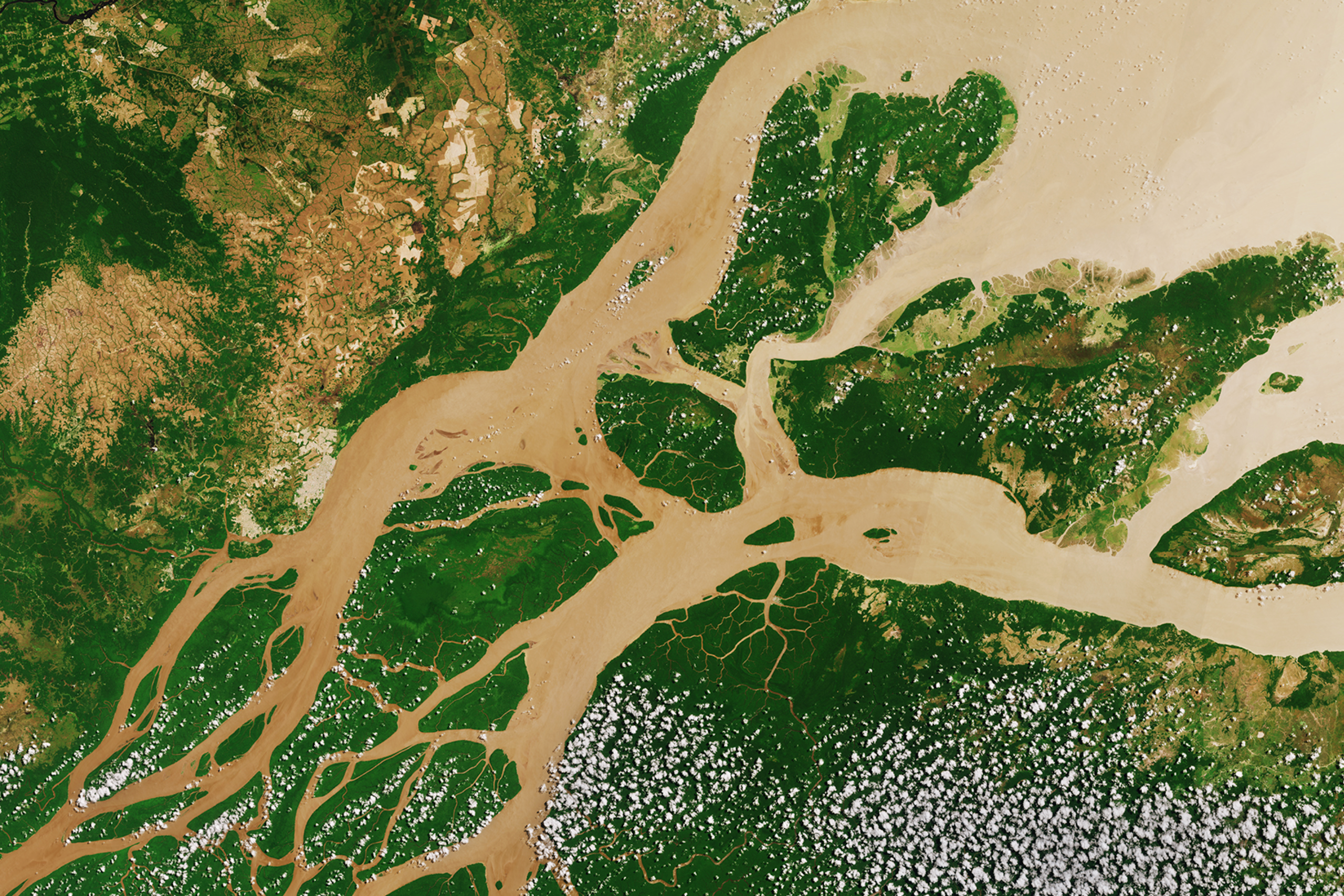Imagen de satélite de la desembocadura del río Amazonas