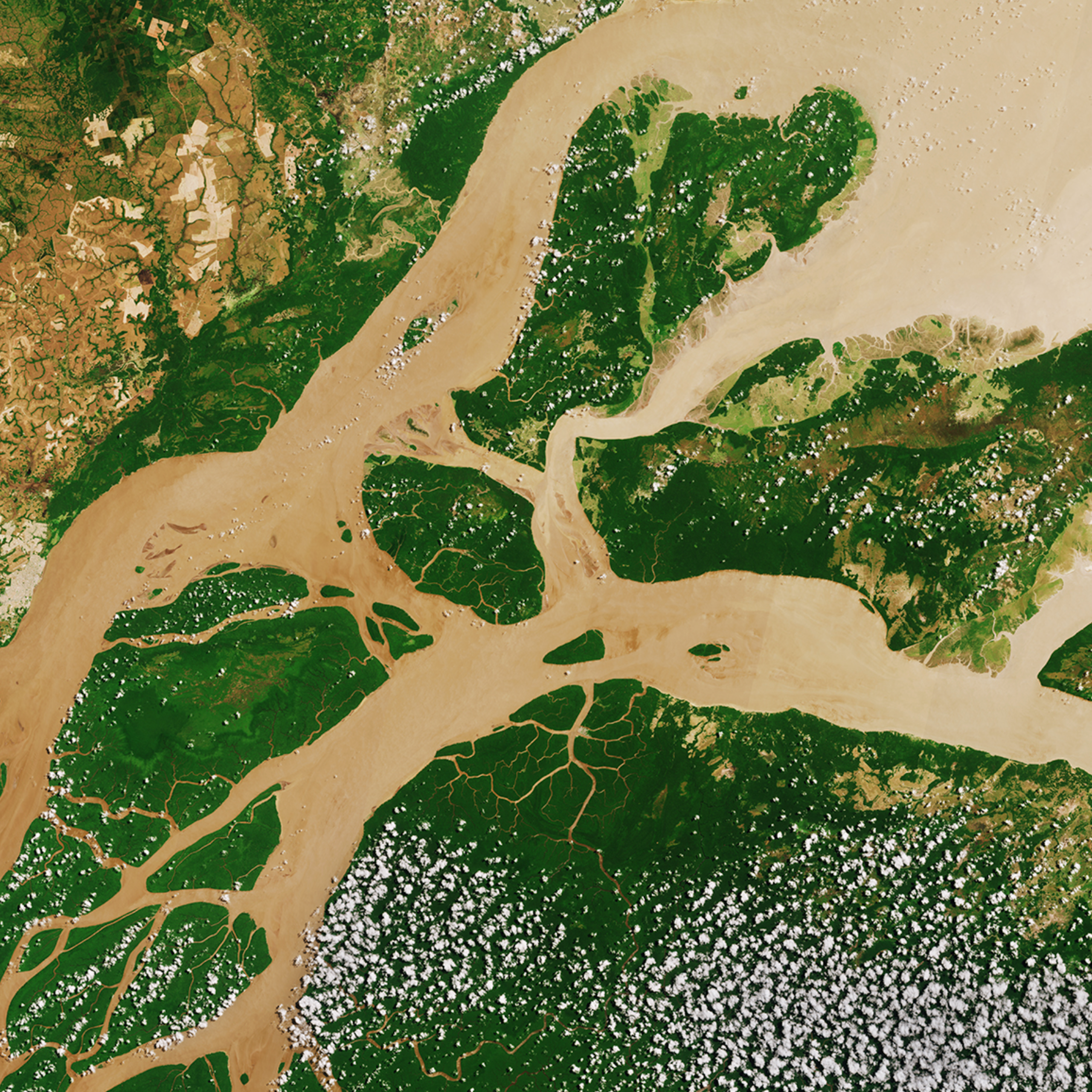 Imagen de satélite de la desembocadura del río Amazonas