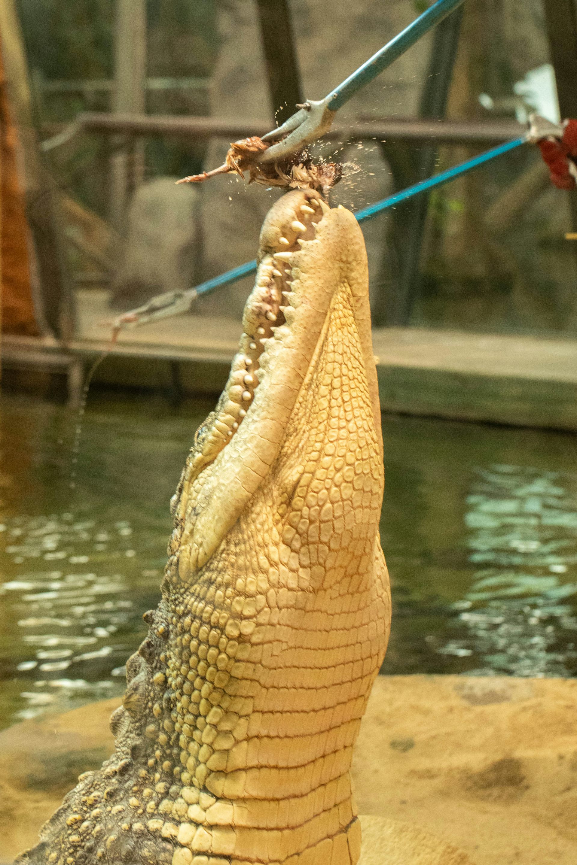 file 20251024 56 k2iqct.jpg?ixlib=rb 4.1