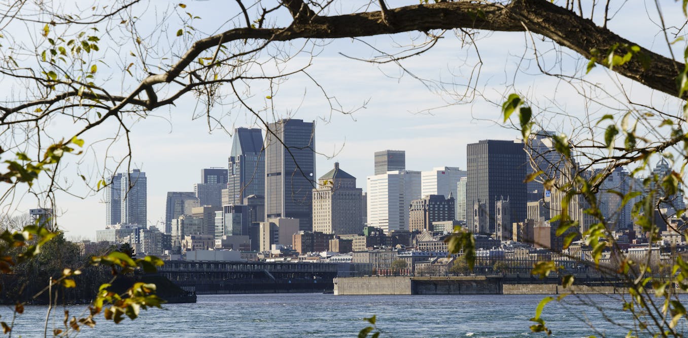 Climate change is making cities hotter. Here’s how planting trees can help Climate change is making cities hotter. Here’s how planting trees can help