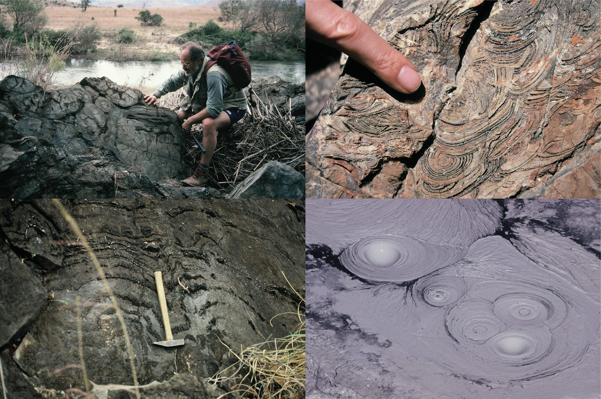 A composite of four images which show (clockwise from top left hand corner): Geologist Maarten de Wit pointing out the remains of underwater eruptions of pillow lava, 3.4 billion years old; the swirly remains of bubbling mud pools, 3.3 billion