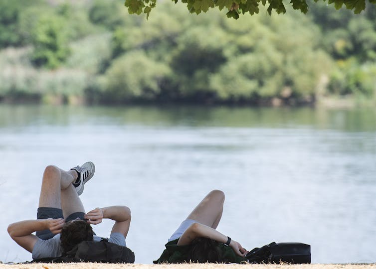 dos personas tumbadas en la hierba debajo de un árbol cerca de un cuerpo de agua