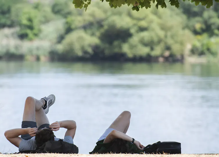 two people lying on the grass beneath a tree near a body of water