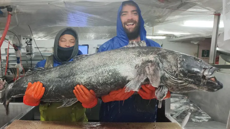 two fishers holding a toothfish.