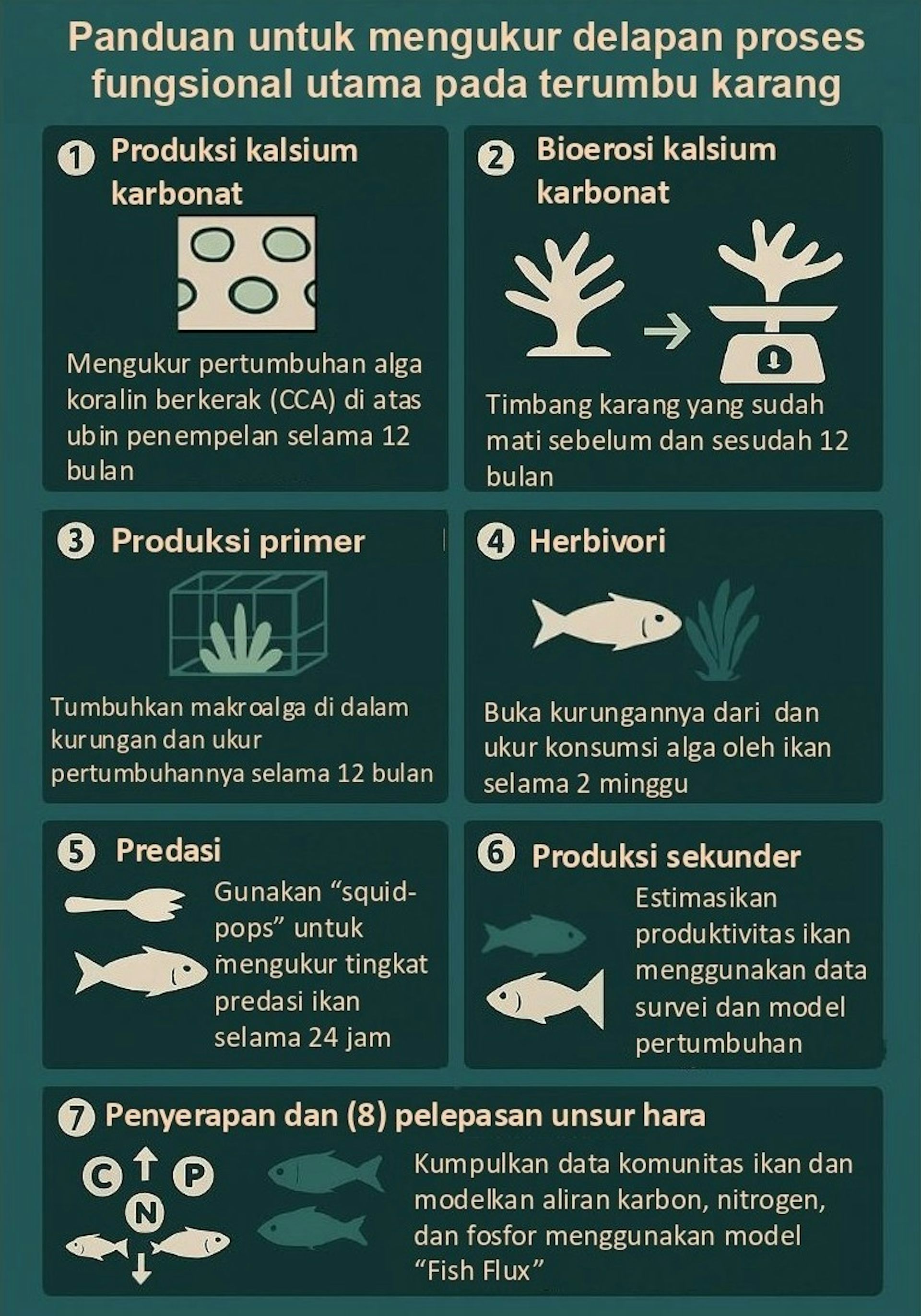 Restorasi terumbu karang