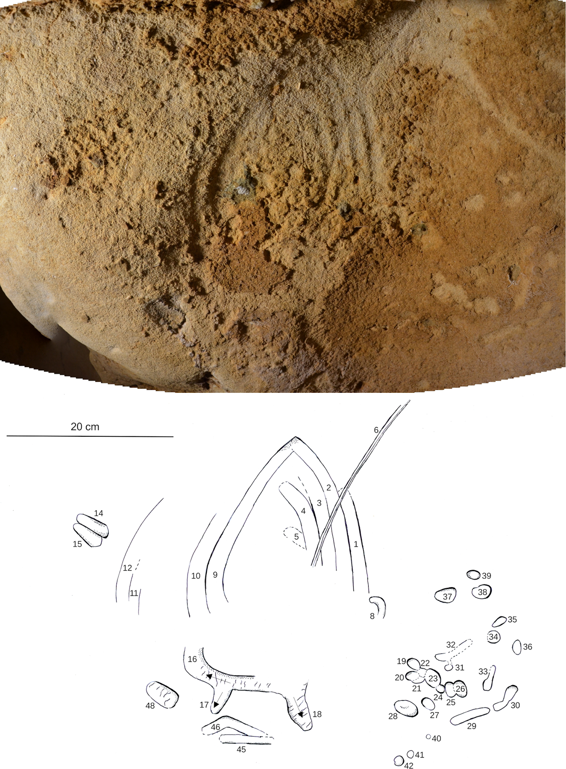 Parallel finger markings in a V-shape or arch from a cave wall at La Roche Cotard in France. The arrangements of finger marks show that they were deliberate and organised.
