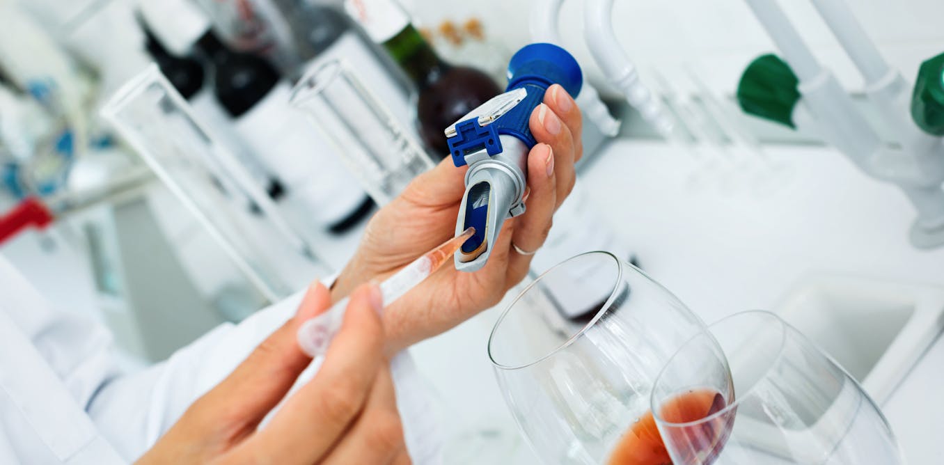 Análisis de autenticidad del vino mediante huella molecular