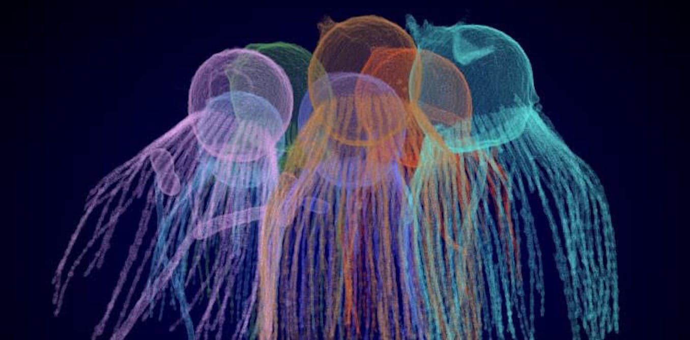 How the first animals evolved – a new clue from a tiny relative How the first animals evolved – a new clue from a tiny relative