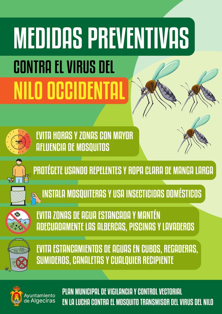 From outbreak to surveillance: how West Nile virus instances had been diminished in Spain 1 file 20251027 56 9bfcud.jpg?ixlib=rb 4.1
