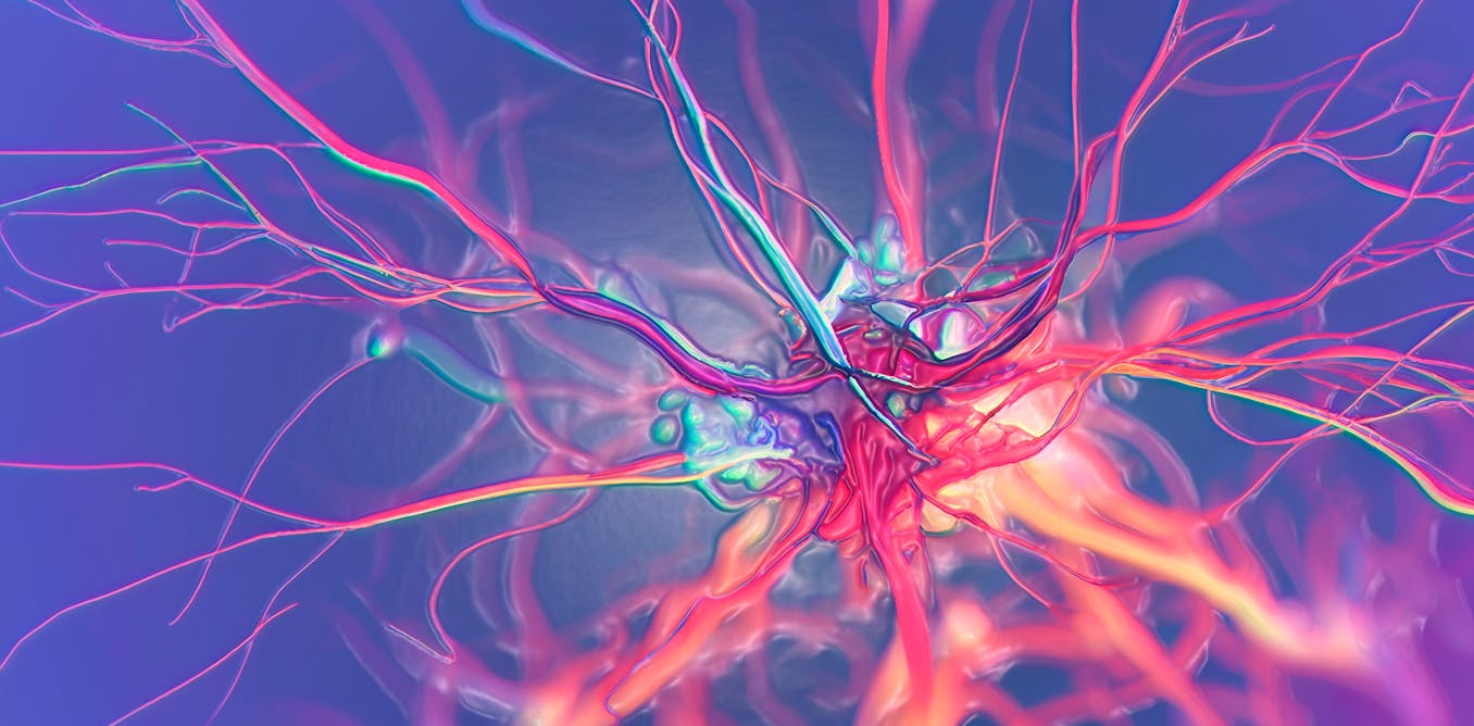 El cerebro no sólo piensa, también quema grasa