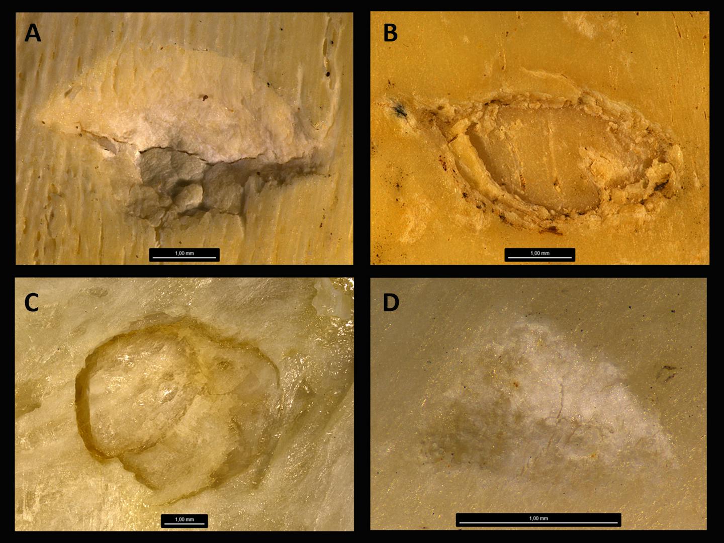 four different magnified craters on brownish backgrounds