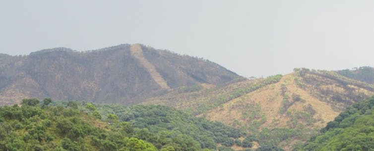 Сьерра-Бермеха (2021, Малага, Испания) через год после пожара