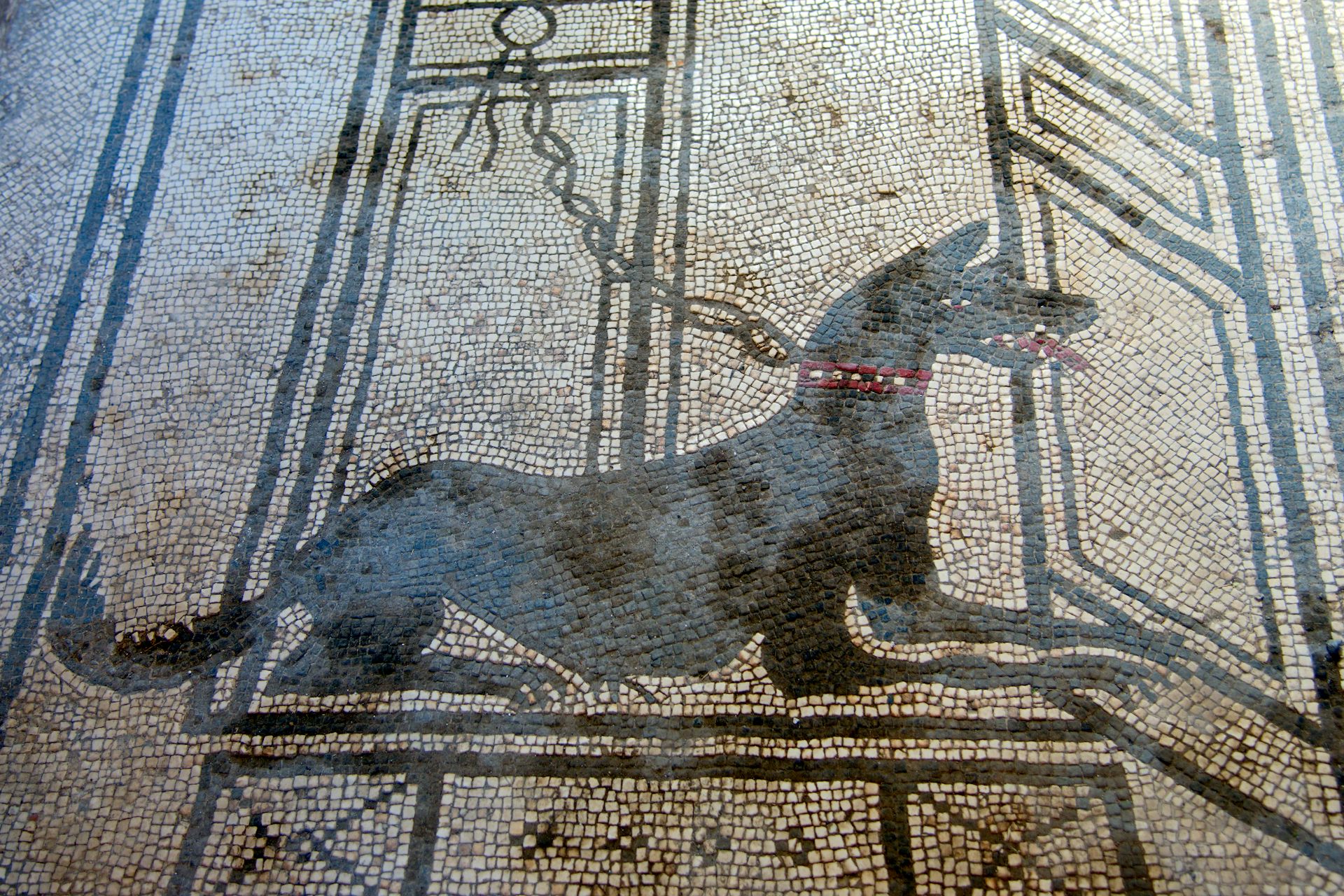 Representación de un perro en un mosaico.