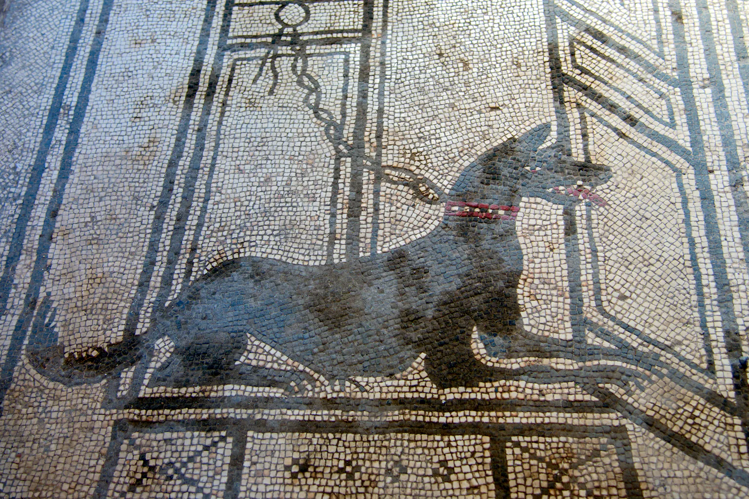 Cuando un perro era una cosa: el viaje legal de los animales desde la ...