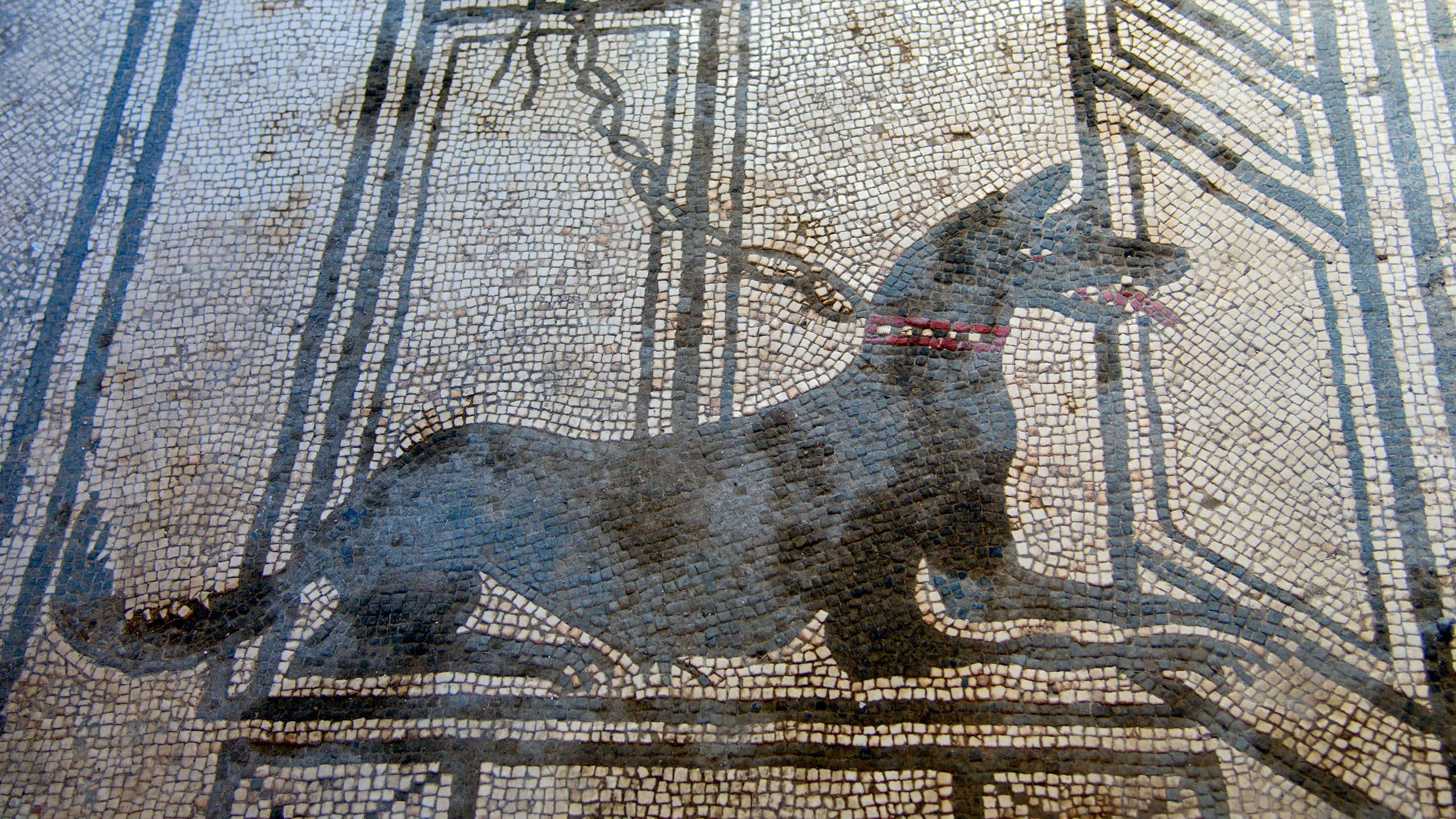 Representación de un perro en un mosaico.