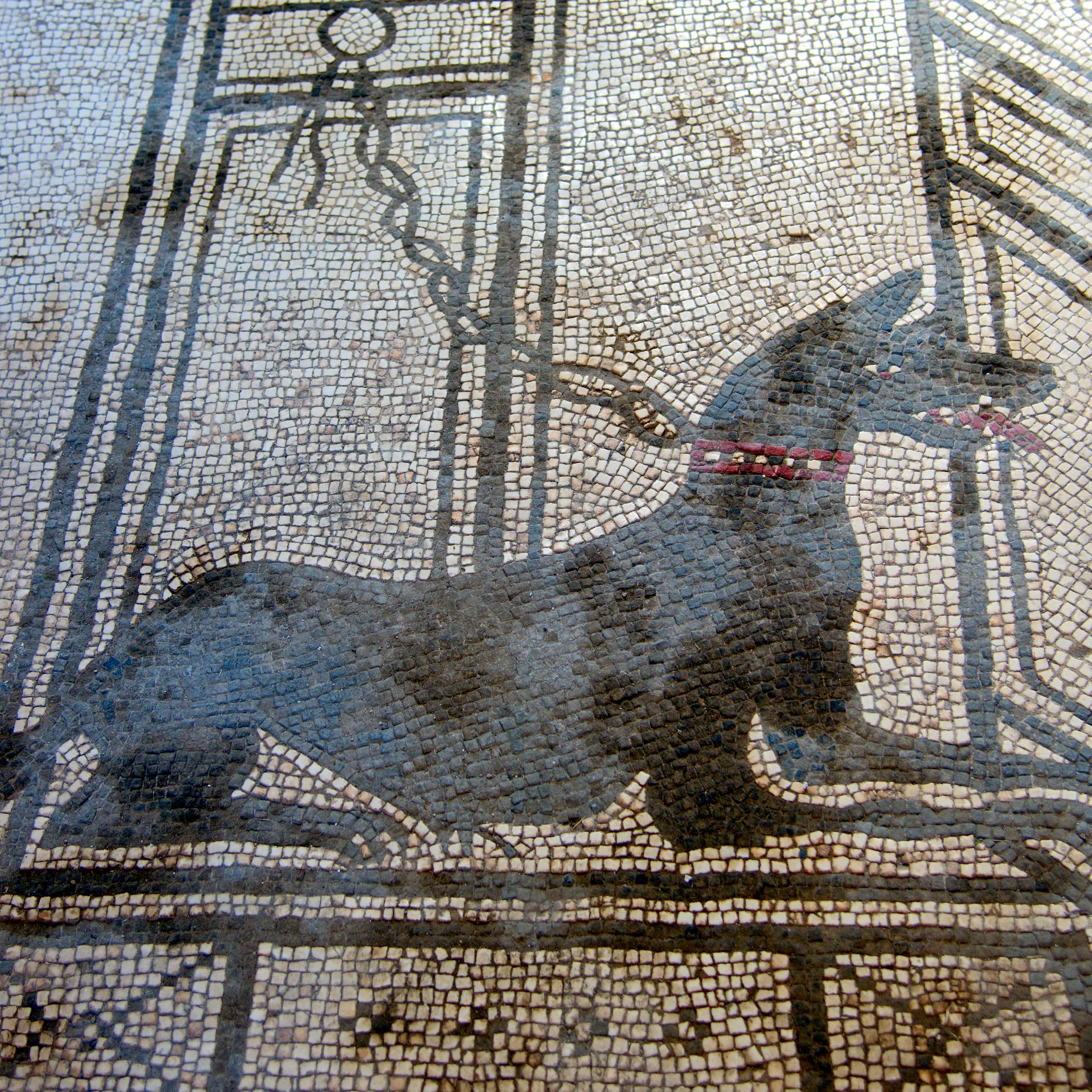 Representación de un perro en un mosaico.
