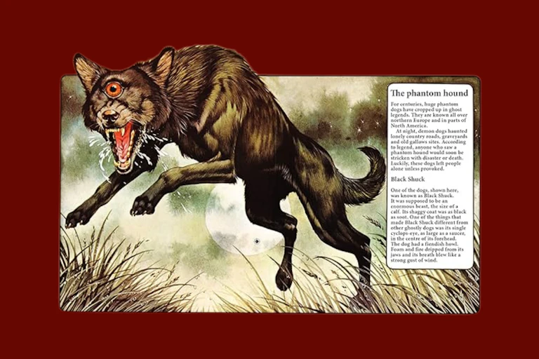 Black one-eyed hound ghost